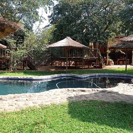 Elephant Trail Guesthouse And Backpackers Касане Екстериор снимка