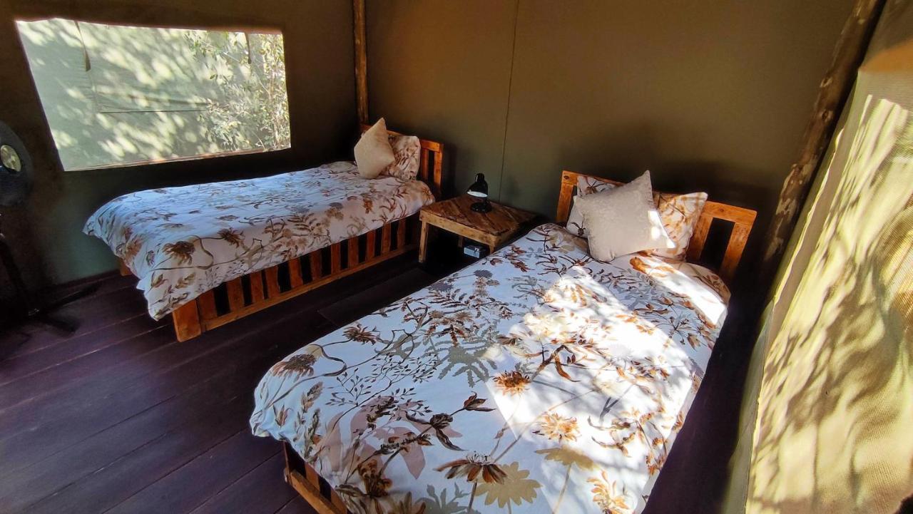 Elephant Trail Guesthouse And Backpackers Касане Екстериор снимка