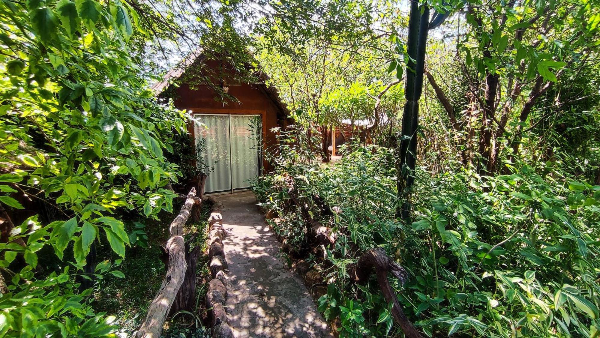 Elephant Trail Guesthouse And Backpackers Касане Екстериор снимка