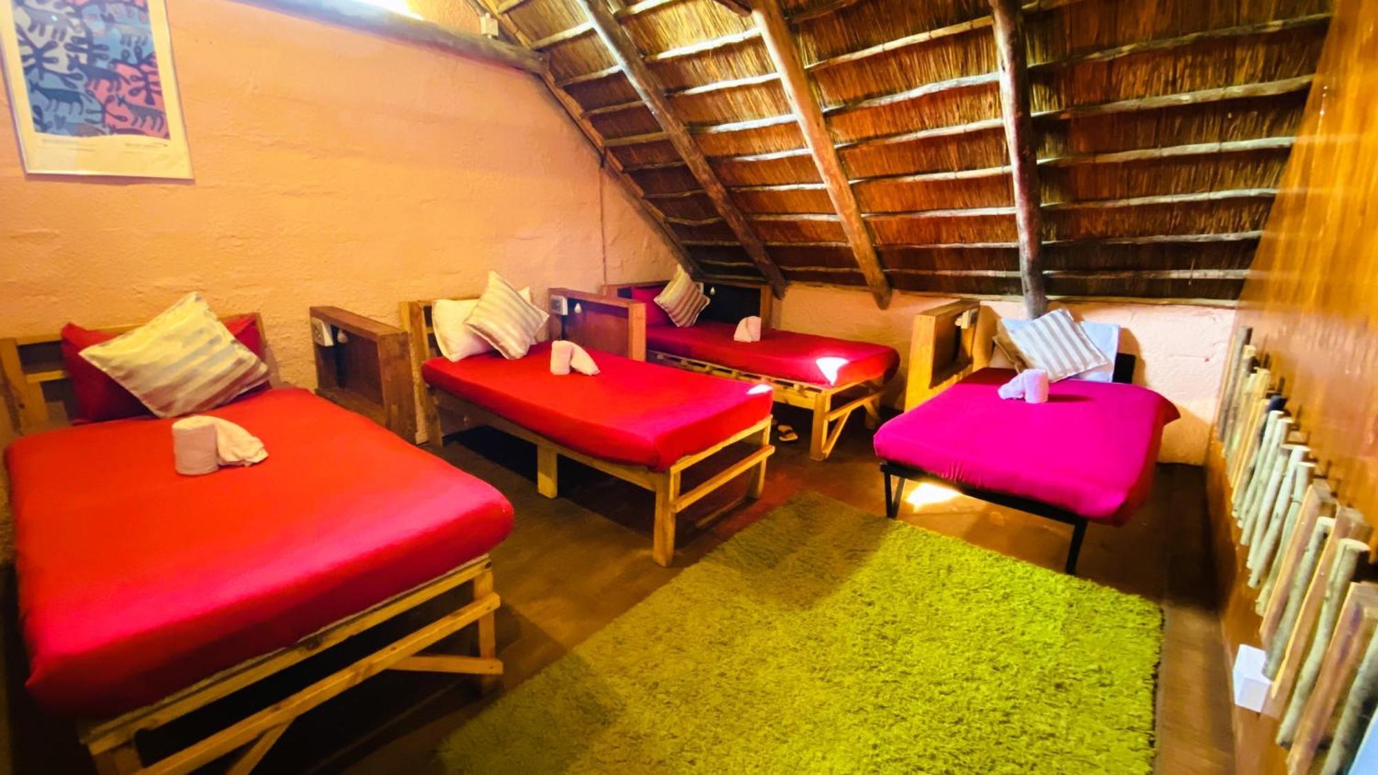 Elephant Trail Guesthouse And Backpackers Касане Стая снимка