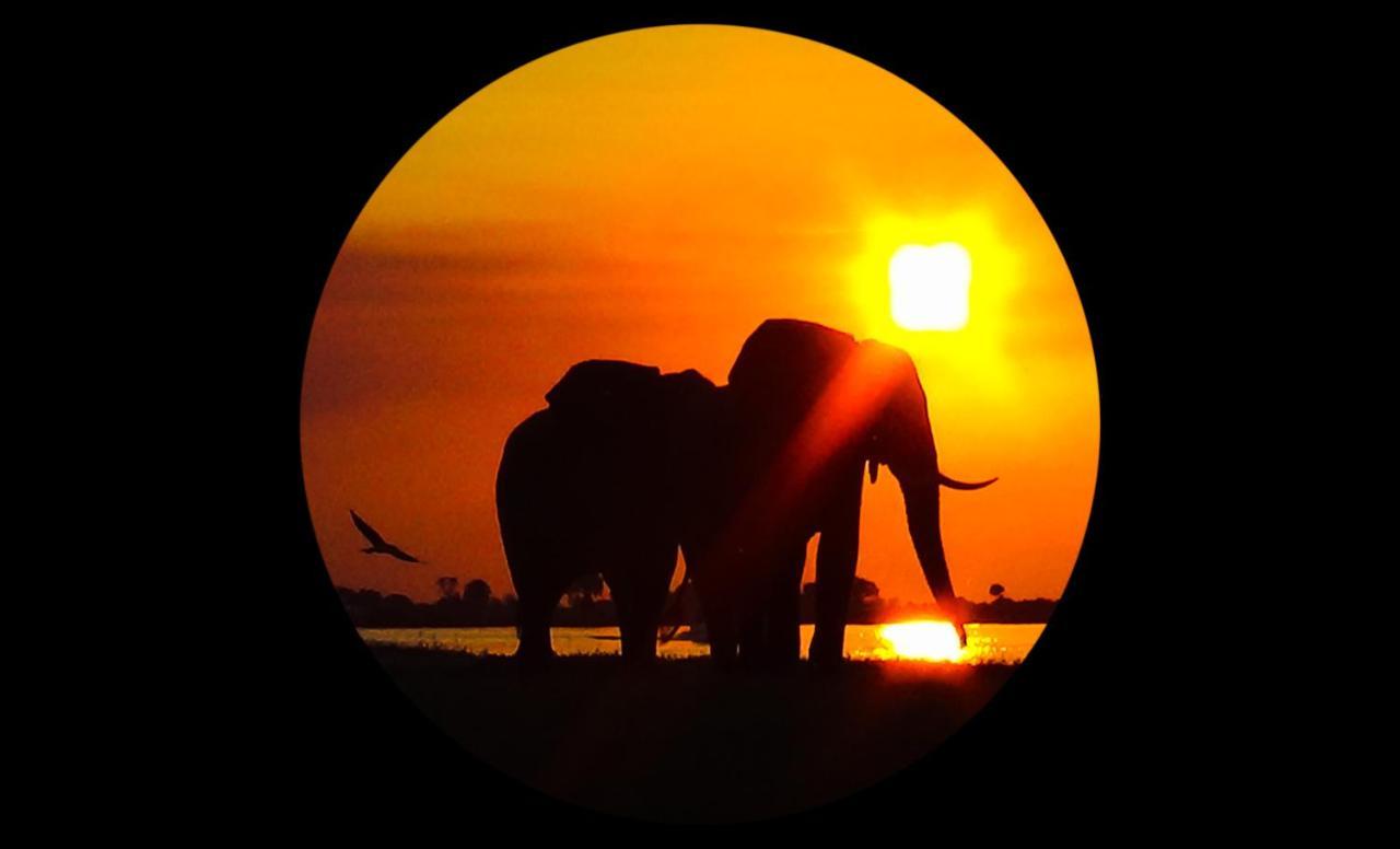 Elephant Trail Guesthouse And Backpackers Касане Екстериор снимка